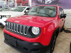 جيب رينيجيد